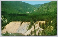 s22449 Salt Lick on Flathead River Glacier National Park Montana USA  postcard