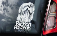 BICHON HAVANAIS Car Sticker