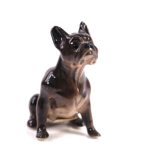 French bulldog russian - french,