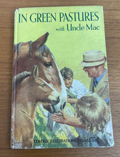 Ladybird In Green Pastures