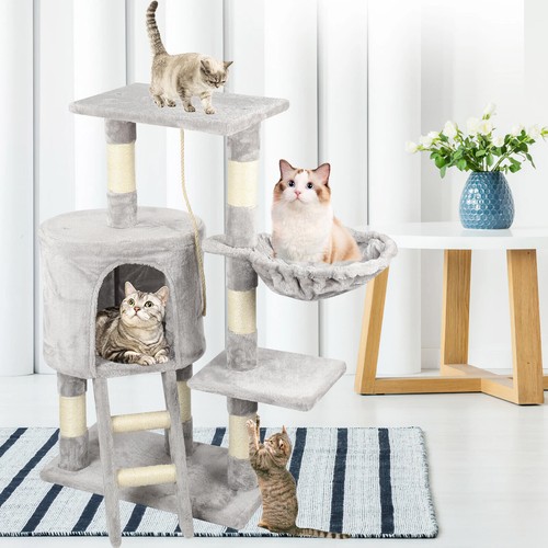 Cat tree scratching post - tree,