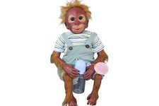 Reborn 16/40Cm Realistic Baby Monkey Boy Dolls Soft Silicone Vinyl Kid Toys 