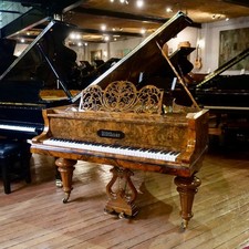 Bluthner Aliquot Grand Piano Burr Walnut | Restored, 1882 | Sherwood Phoenix