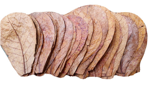 30pcs 1000pcs almond - 1000pcs,