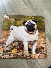 Pug 2026 Calendar | Dog Breed