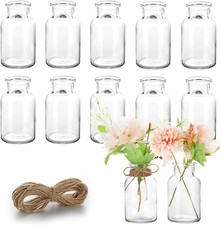Vmgigig 12PCS Small Glass Bud