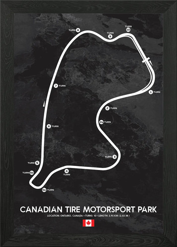 Canadian tire motorsport - canadian,