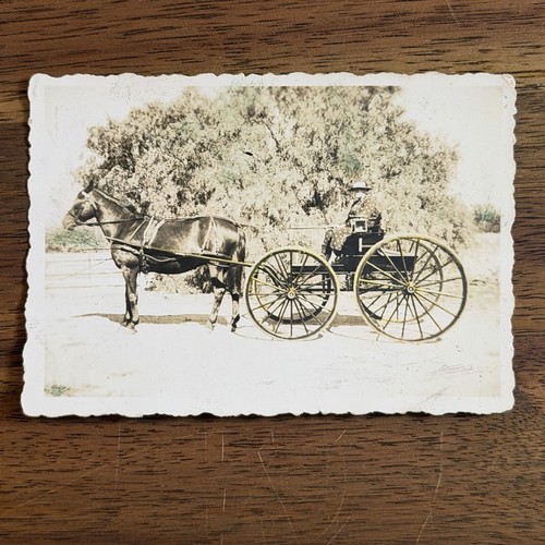 Vintage hand coloured photo - vintage,
