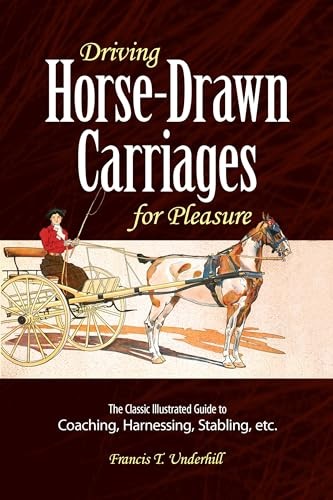 Driving horse drawn carriages - driving, horse-drawn