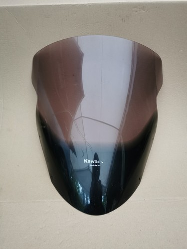 Kawasaki 2009 visor - kawasaki, er