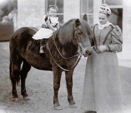 Cabinet card photo - card, horse