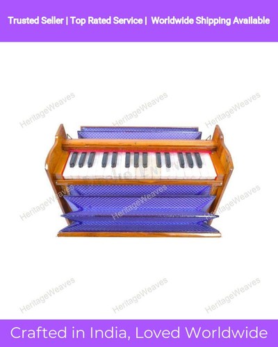 Musical instrument double - musical,