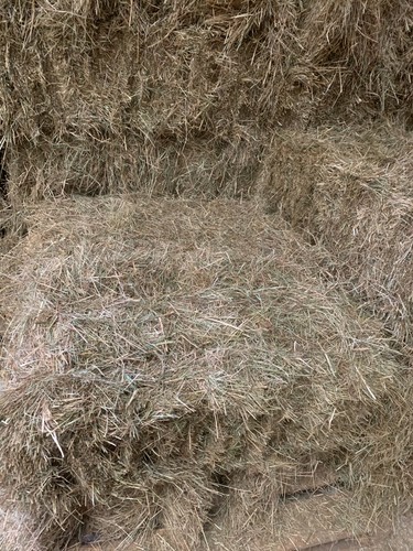 Organic meadow hay bales - organic,