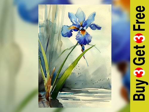 Elegant blue iris - elegant,