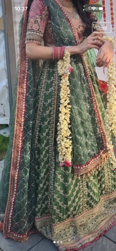 Emerald green mongas - emerald,
