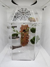 Jumping Spider Enclosure With Decor
