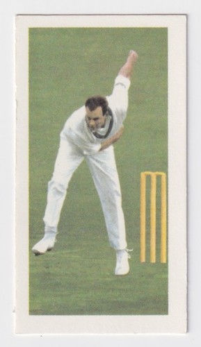 Cricket card famous - cricket,