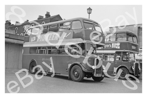 Bus photograph red white - photograph, &