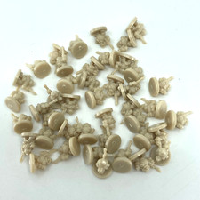 Squat Warriors - Epic