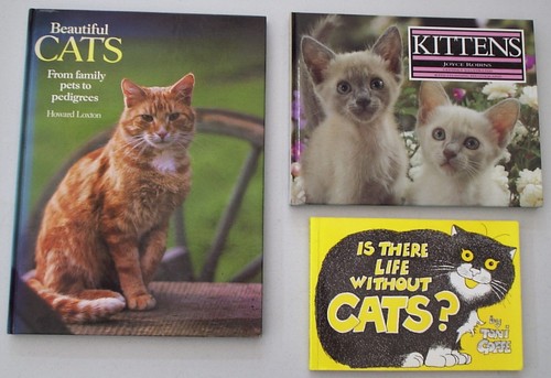 Cats and kittens - cats,