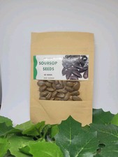 Soursop tree, Graviola, 20