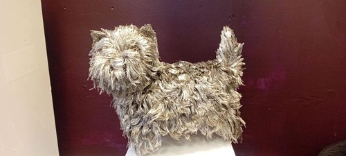 West highland terrier all - -,