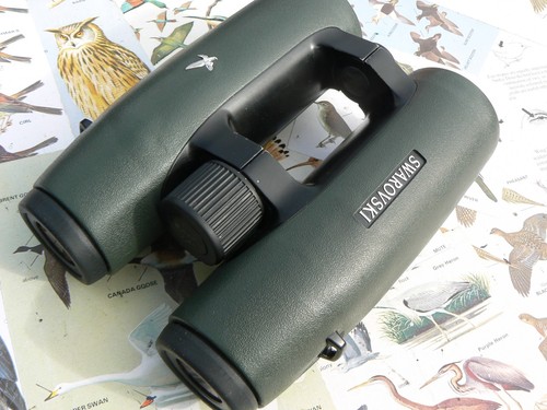 Swarovski 42 el roof - 8.5,