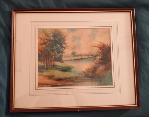 Newhouse original - :,