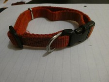 DOG COLLARS RED WEBBING
