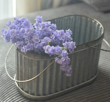 Galvanized Oval Metal Planter