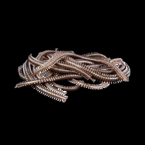 Fishing imitation rag worm - fishing,