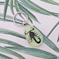 Real Black Scorpion Glow in