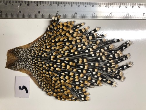 Jungle cock cape fly - cock,