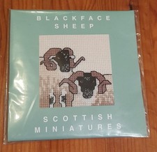 Blackface sheep, Scottish