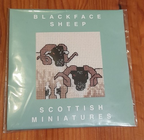 Blackface sheep scottish - blackface,