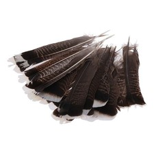 Feathers Wild Turkey Tails Feathers 8-10inch Natural Quill Feathers  DIY Crafts