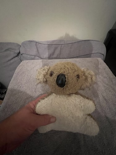 Chad valley koala bear vintage - chad,