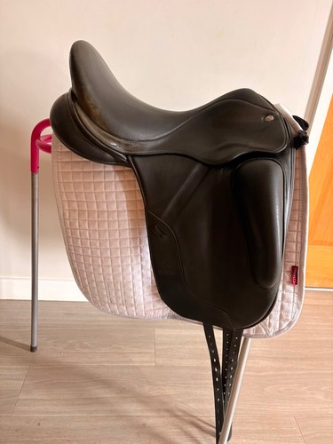 Fairfax gareth dressage - fairfax,