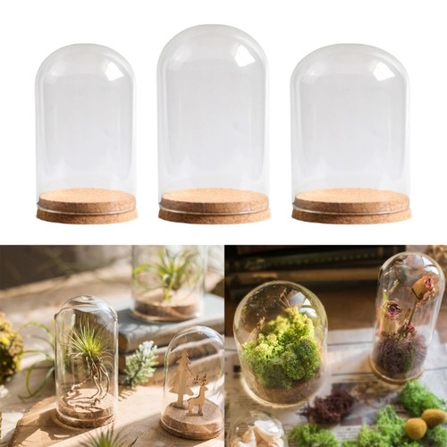 Pack mini glass - 2, dome