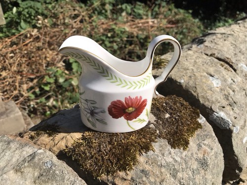 Spode country lane - spode, milk