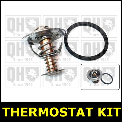 Thermostat kit for - kit, rx