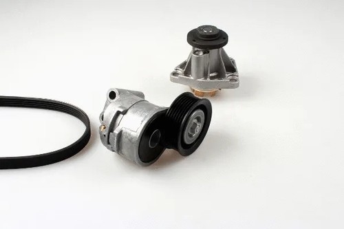 Water pump ribbed belt - v-ribbed,