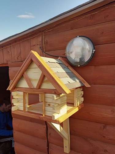 Bird house feeder - bird,