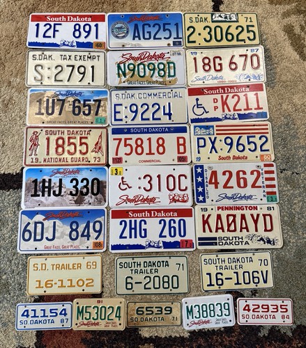South dakota license - 🔥26,