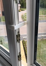 Cat guard window - cat,