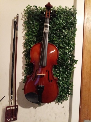 Violin - 3/4,