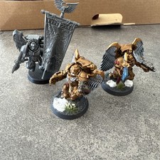 Blood Angels Sanguinary Guard
