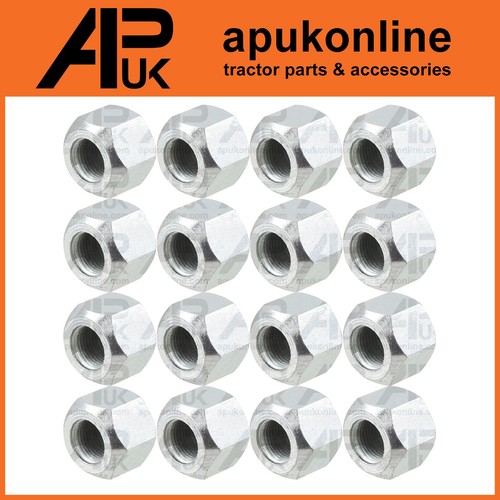 16x rear cone - cone, wheel