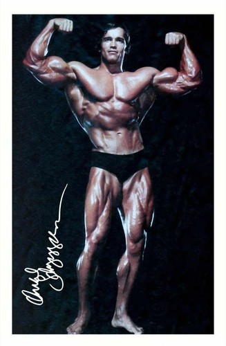 Arnold schwarzenegger - arnold,