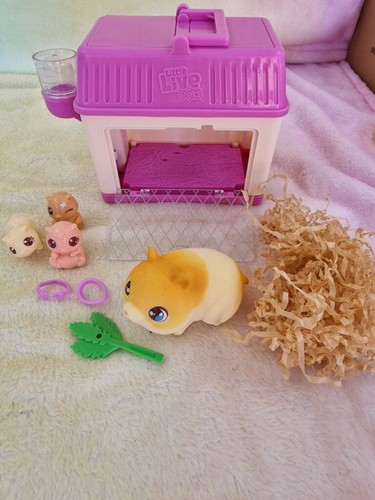 Little live pets - live, surprise